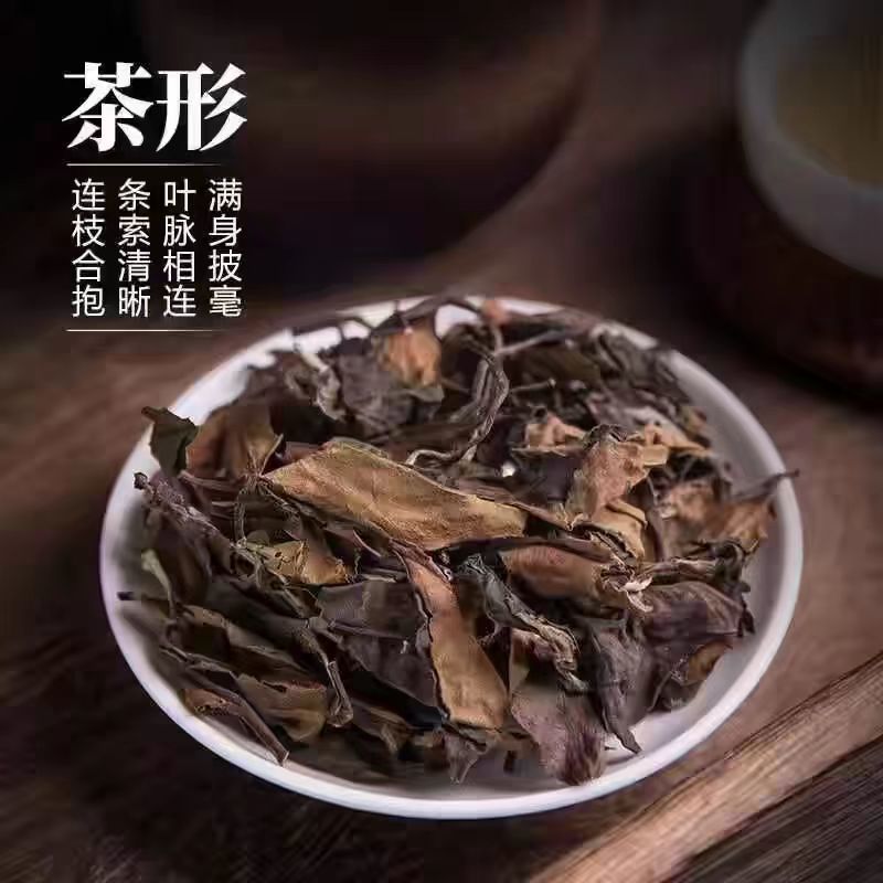 福鼎老白茶，白毫银针白牡丹，福鼎茶园工厂直供