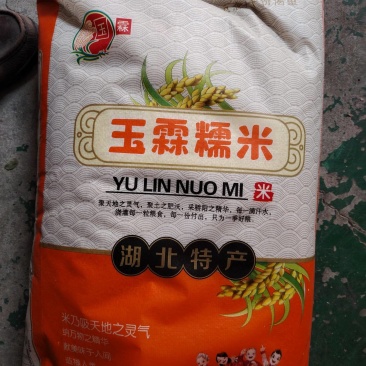 老一辈都认的糯米，煮个粥、包个粽，香得嘞