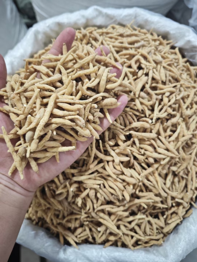 太子参贵州药食同源优质各种规格