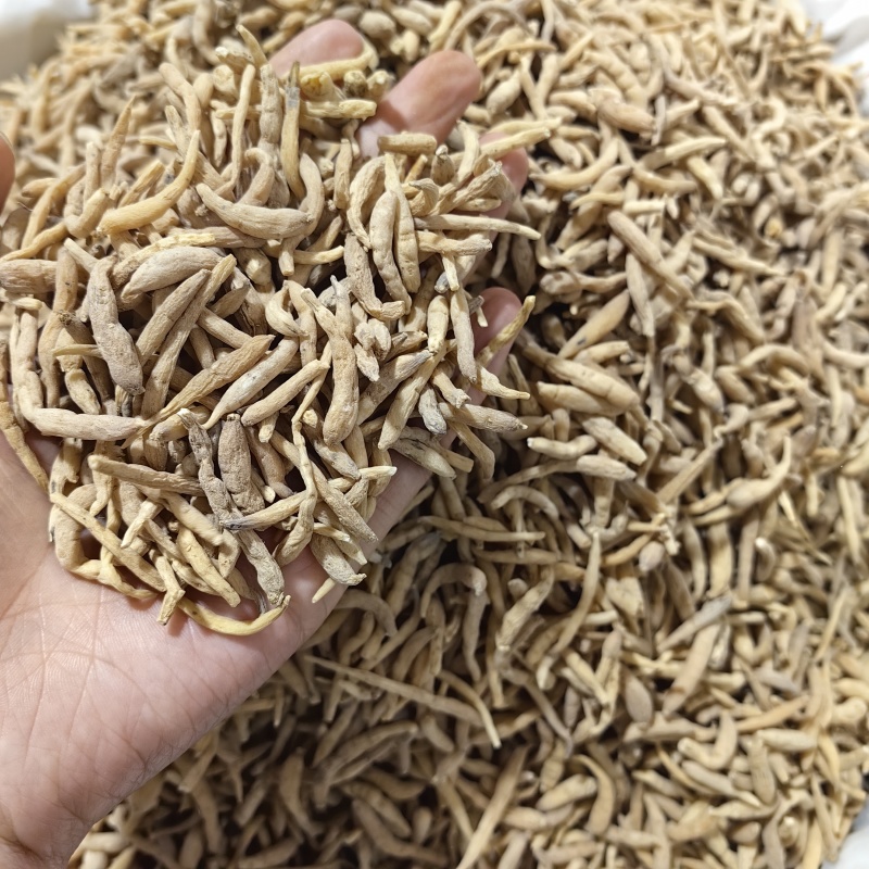 太子参贵州药食同源优质各种规格