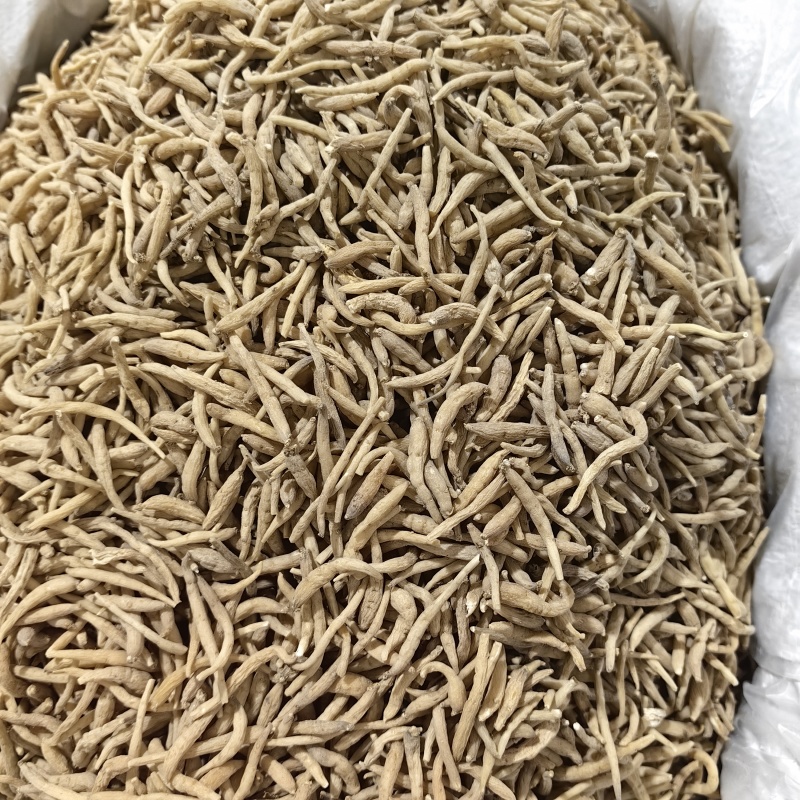 太子参贵州药食同源优质各种规格