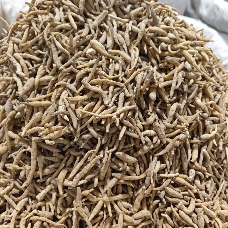 太子参贵州药食同源优质各种规格
