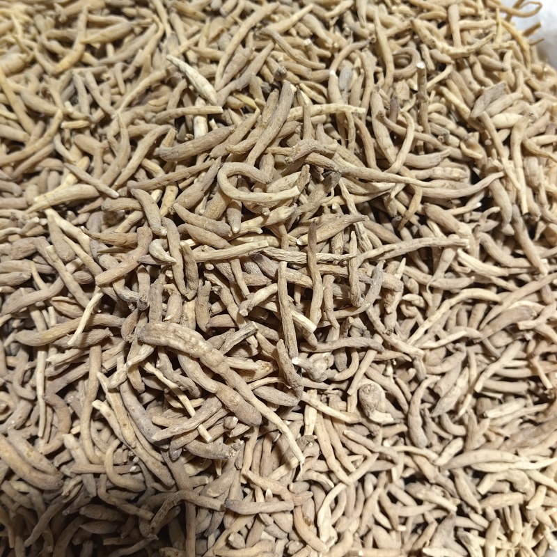 太子参贵州药食同源优质各种规格