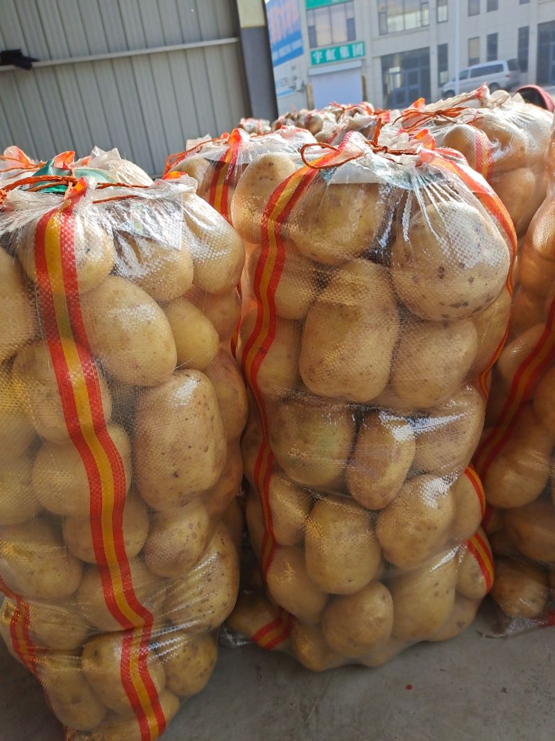 希森土豆开封希森6号黄心土豆商超电商整车干洗发货