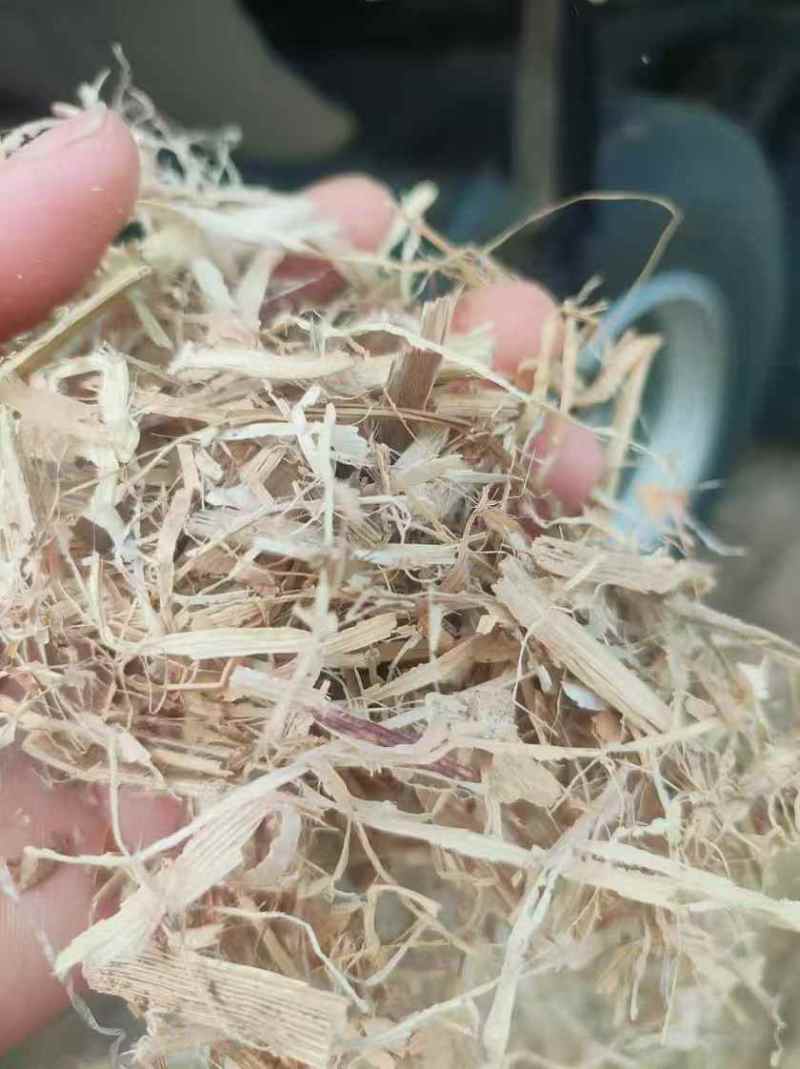玉米秸秆大白包全国发货对接养殖场量大价优
