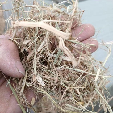 湖北楺丝除尘稻草小套袋对接养殖场常年有货量大价优
