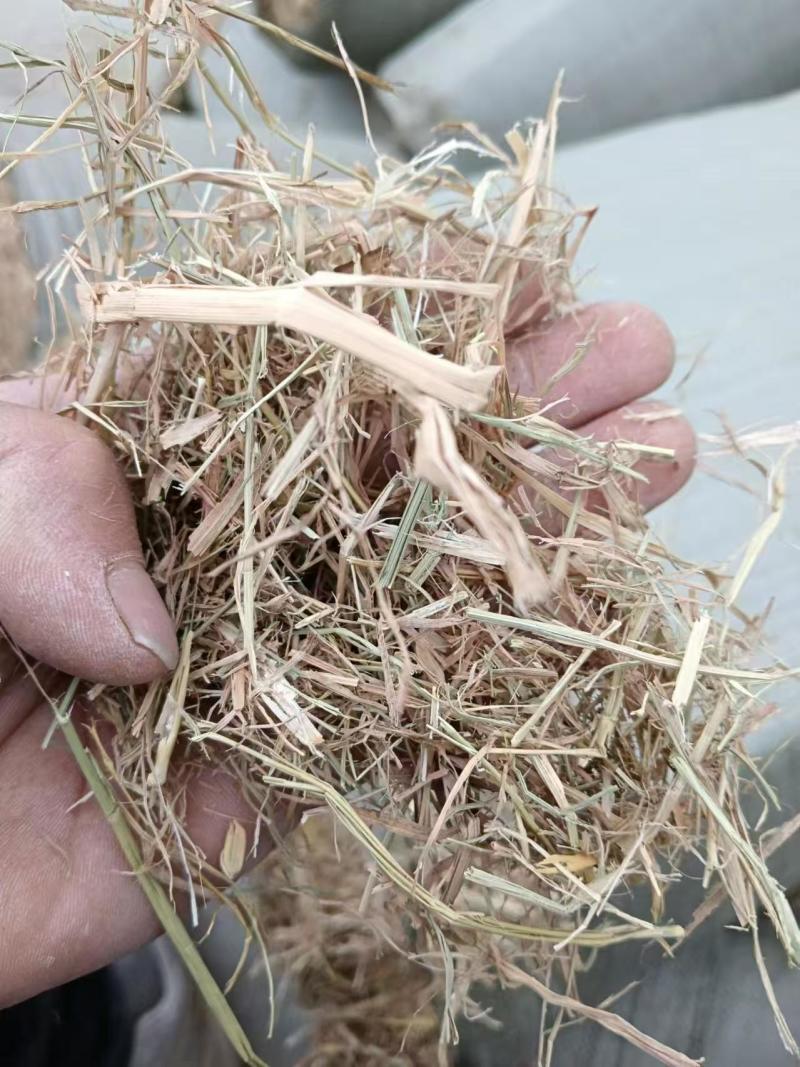 湖北楺丝除尘稻草小套袋对接养殖场常年有货量大价优