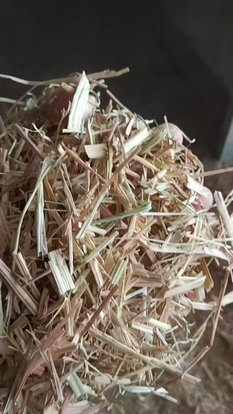 湖北楺丝除尘稻草小套袋对接养殖场常年有货量大价优