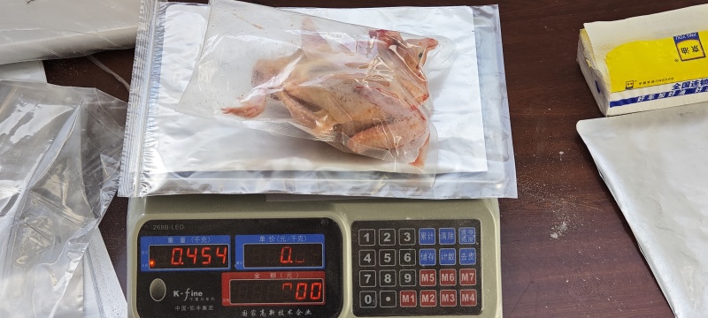 乳鸽量大便宜产地直销活禽全国可发，不包邮