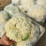 河南菜花有机松花菜白花花菜商超电商供代收代发代加工