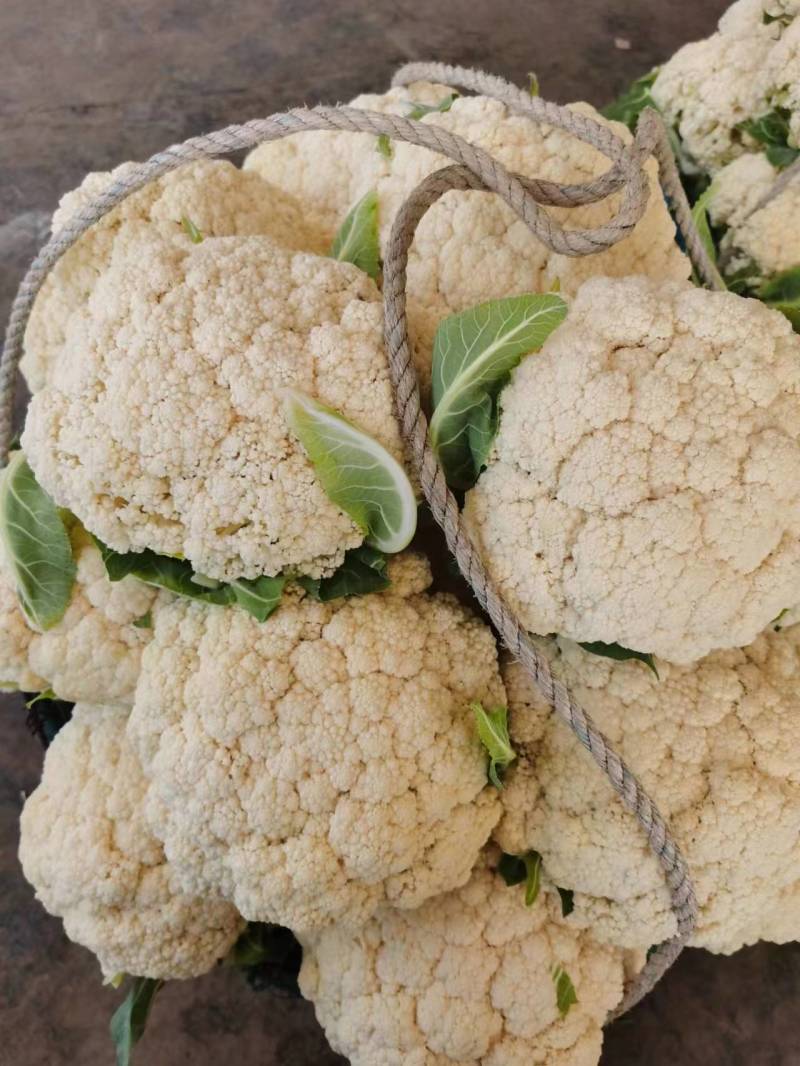 河南菜花有机松花菜白花花菜商超电商供代收代发代加工