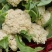 河南菜花有机松花菜白花花菜商超电商供代收代发代加工
