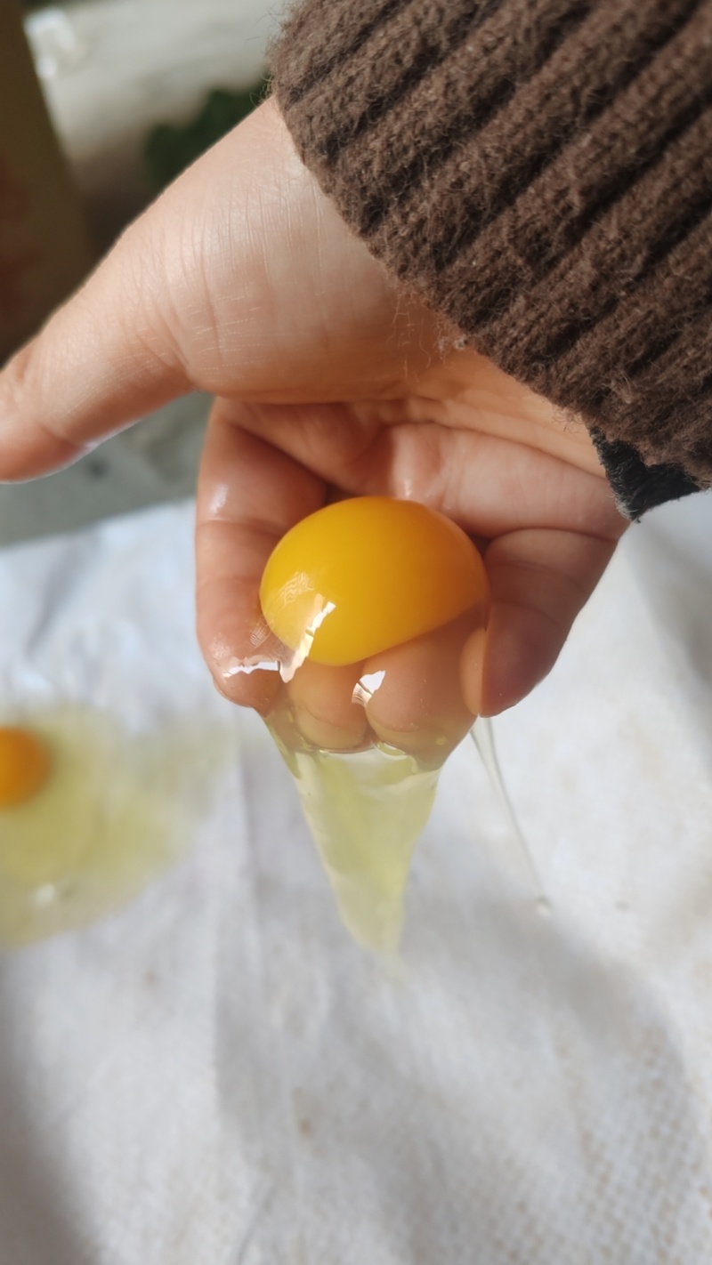 粉绿混装土鸡蛋