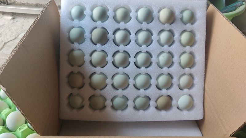 粉绿混装土鸡蛋