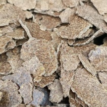 河北精品花生饼产地直发一手货源量大从优