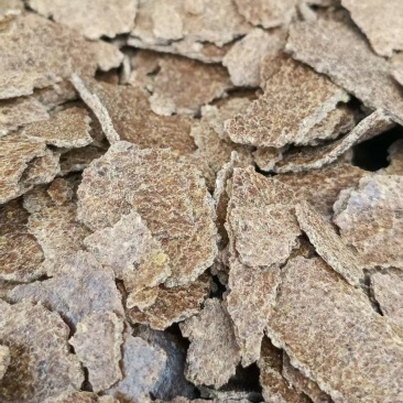 河北精品花生饼产地直发一手货源量大从优