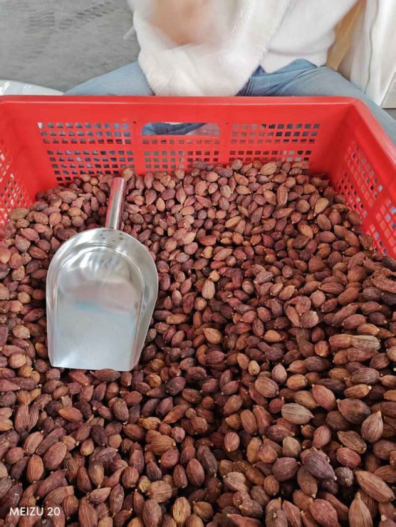 【精品】云南精品烤草果产地直供对接工厂商超档口