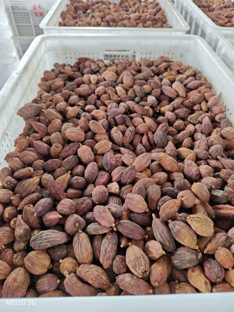【精品】云南精品烤草果产地直供对接工厂商超档口