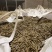 生物质颗粒燃料，易点易燃，热值高，更耐烧，厂家直销