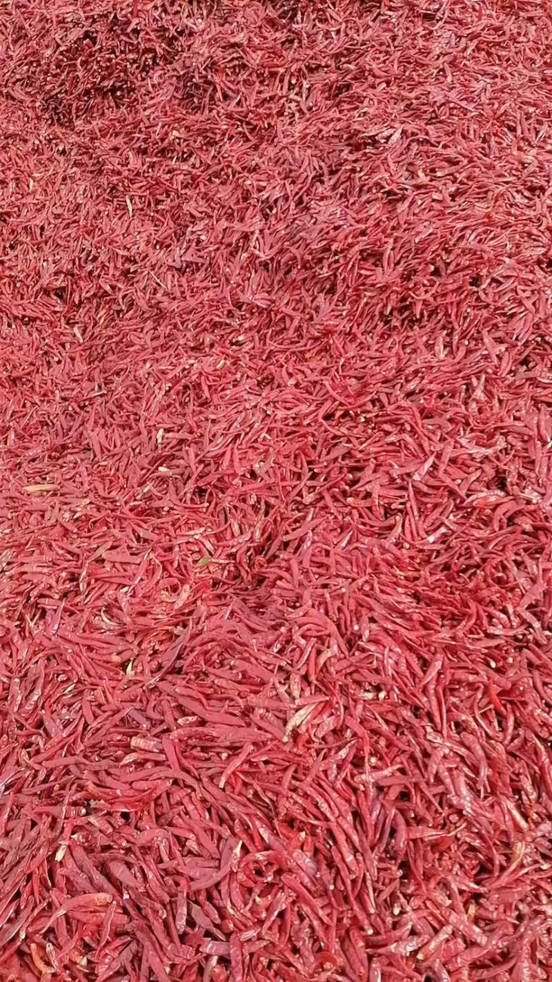 红太阳量大价格优惠大量出来电咨询