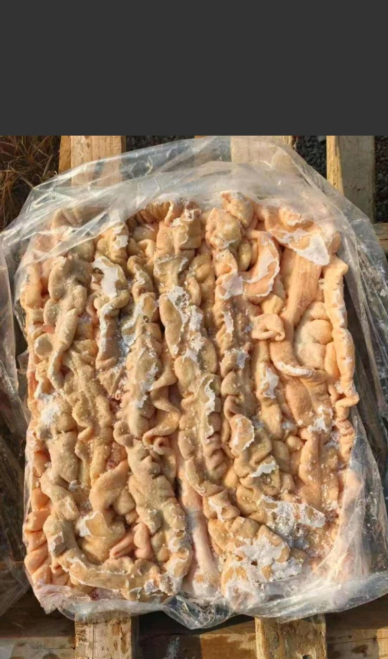预煮肥肠10%的油和百分之20%带油干货