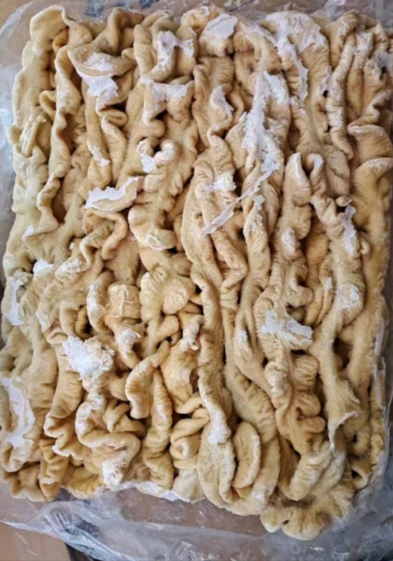 预煮肥肠10%的油和百分之20%带油干货