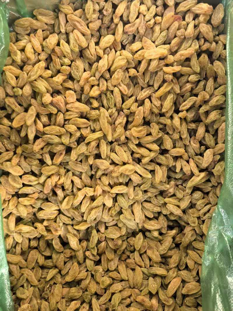 葡萄干新货厂家直供颗粒干净供电商批发商