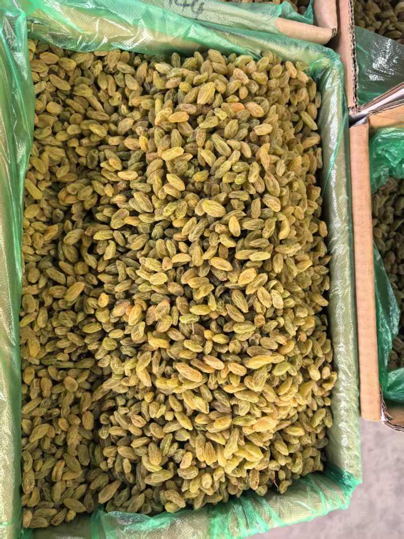 葡萄干新货厂家直供颗粒干净供电商批发商