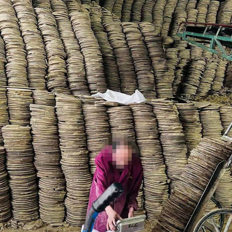 糠饼2025年新鲜出炉大量现货，水产养殖垂钓打窝，致富好