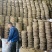 糠饼2025年新鲜出炉大量现货，水产养殖垂钓打窝，致富好
