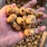 虎皮枣无核质好价优厂家直供批发商超欢迎联系