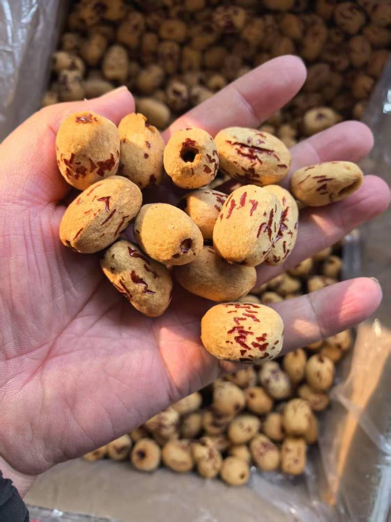虎皮枣无核质好价优厂家直供批发商超欢迎联系