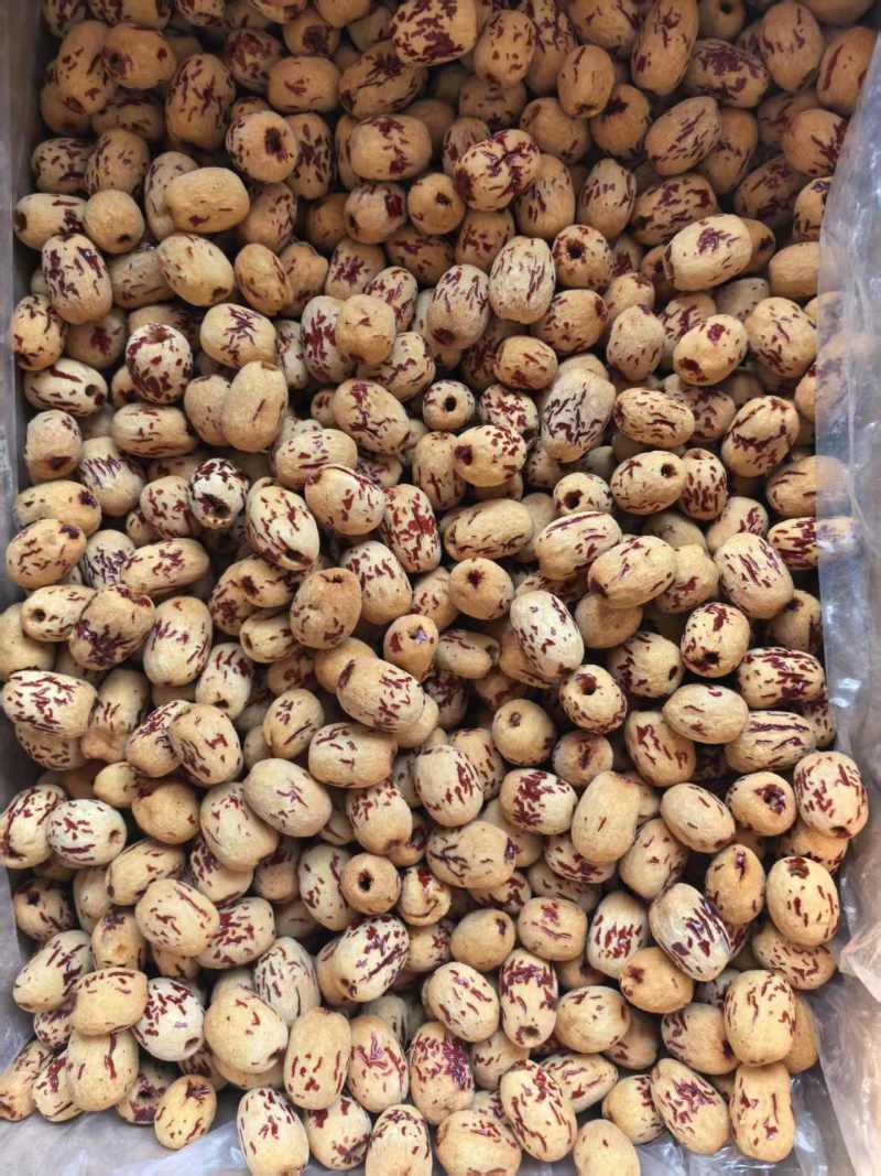 虎皮枣无核质好价优厂家直供批发商超欢迎联系