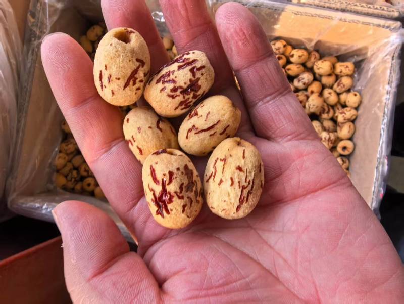 虎皮枣无核质好价优厂家直供批发商超欢迎联系
