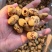 虎皮枣无核质好价优厂家直供批发商超欢迎联系