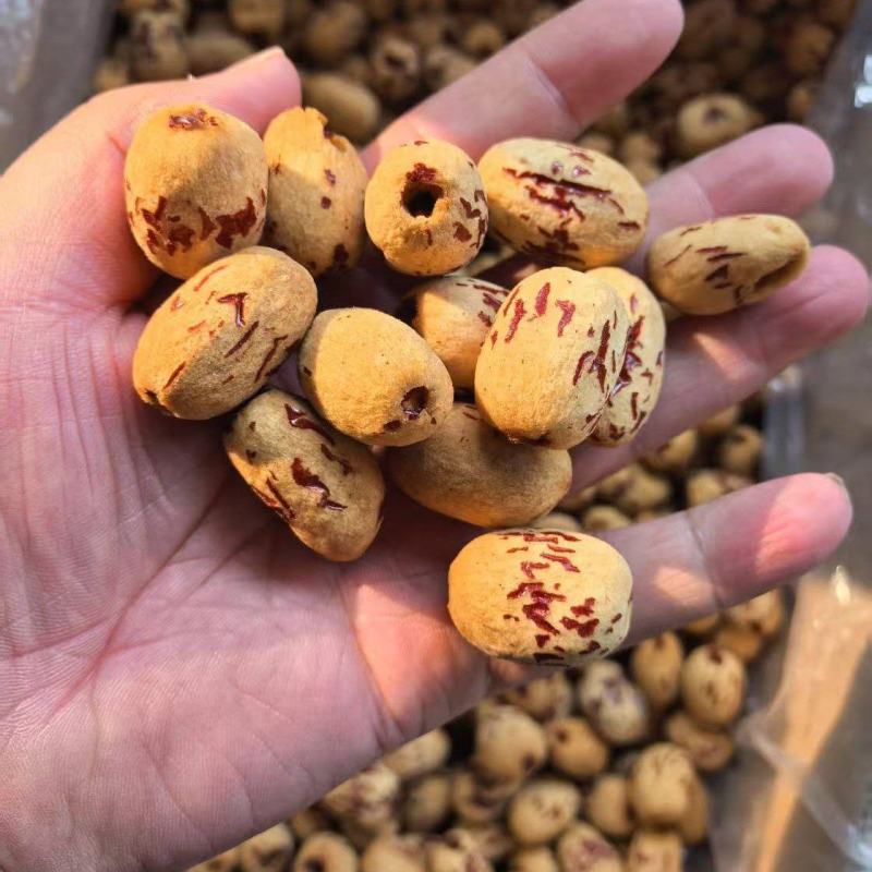 虎皮枣无核质好价优厂家直供批发商超欢迎联系