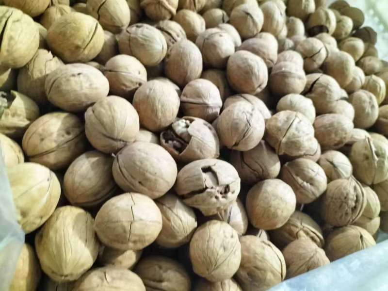 烤核桃薄皮核桃草本味烤核桃厂家直供品质好欢迎联