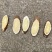 甘肃纯野生红芪片无硫色泽鲜量大从优欢迎咨询