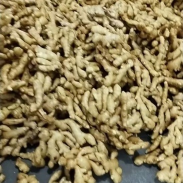 山东昌邑精品水洗大黄姜（市场货、商超货、电商货）大量供应
