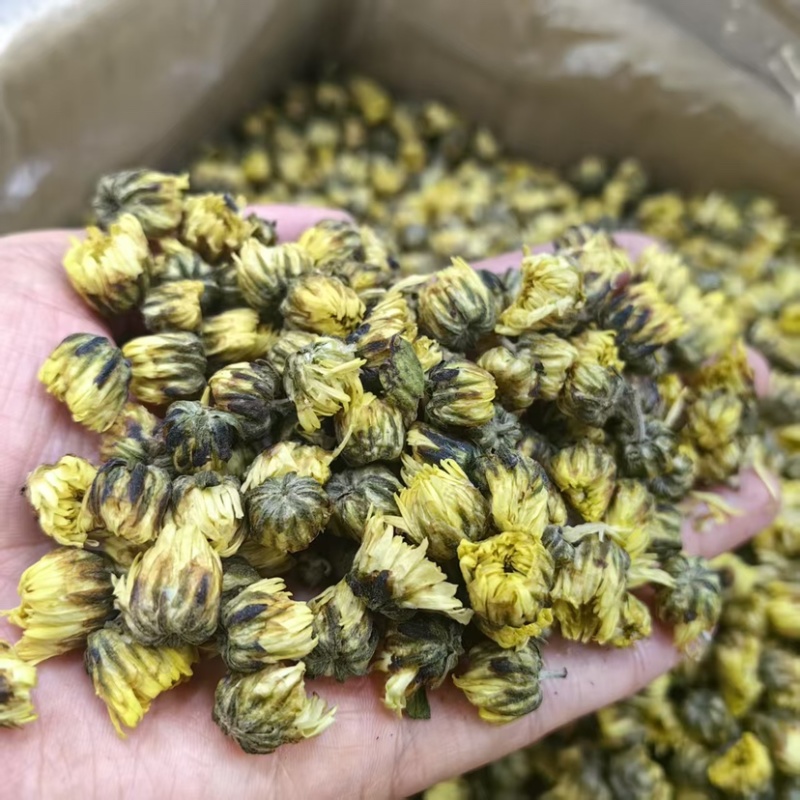 胎菊批发胎菊可供大货量大价优可供批发零售