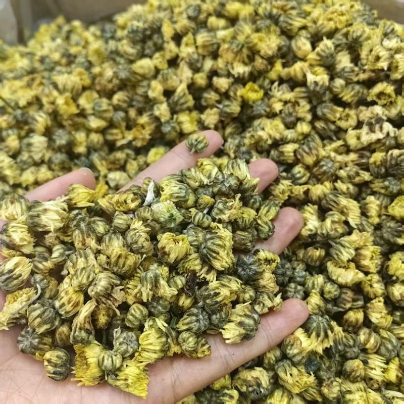 胎菊批发胎菊可供大货量大价优可供批发零售