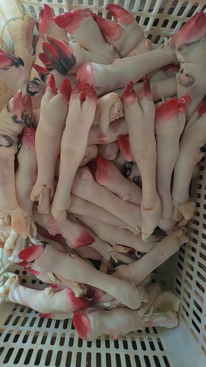 一斤3个的绵阳蹄，质量新鲜，没有毛咋，全是新货，欢迎采购