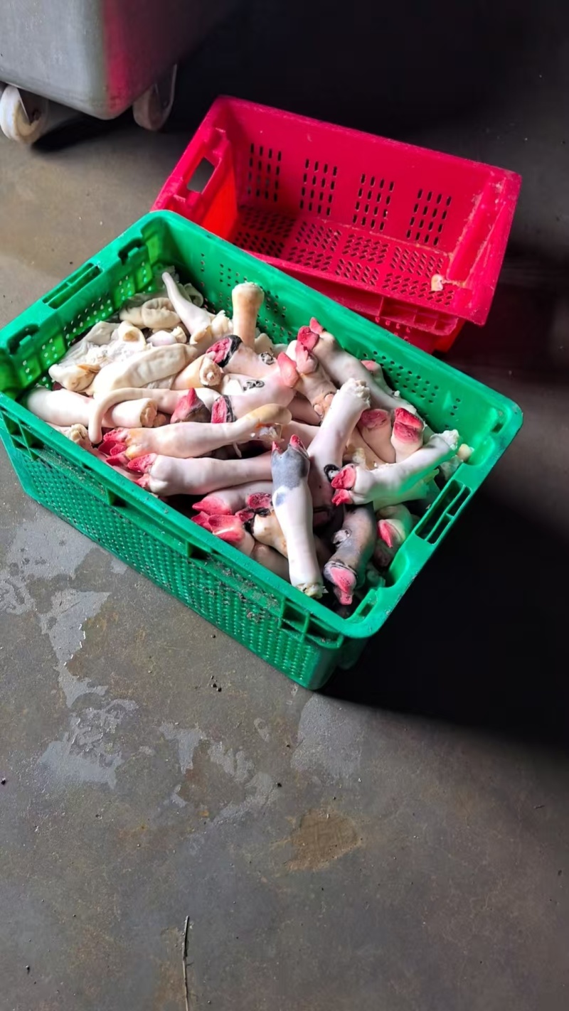 一斤3个的绵阳蹄，质量新鲜，没有毛咋，全是新货，欢迎采购