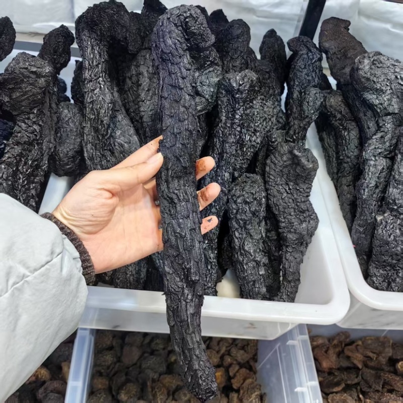 肉苁蓉软质肉苁蓉含量够可供批发零售量大从优