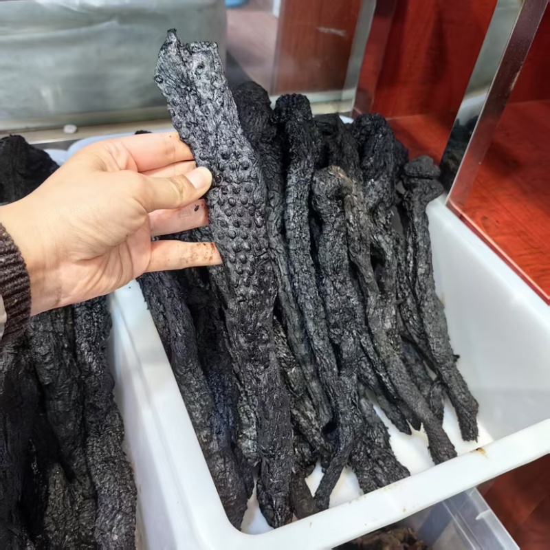 肉苁蓉软质肉苁蓉含量够可供批发零售量大从优