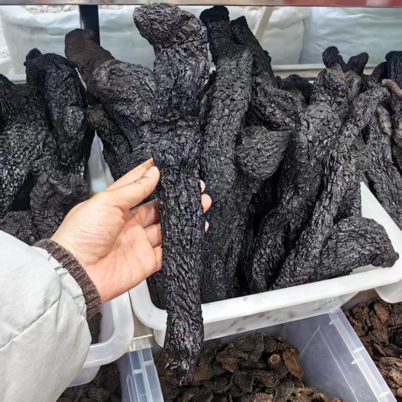 肉苁蓉软质肉苁蓉含量够可供批发零售量大从优