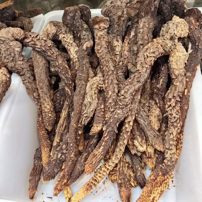 肉苁蓉生个批发肉苁蓉可供大货量大价优可供批发零售