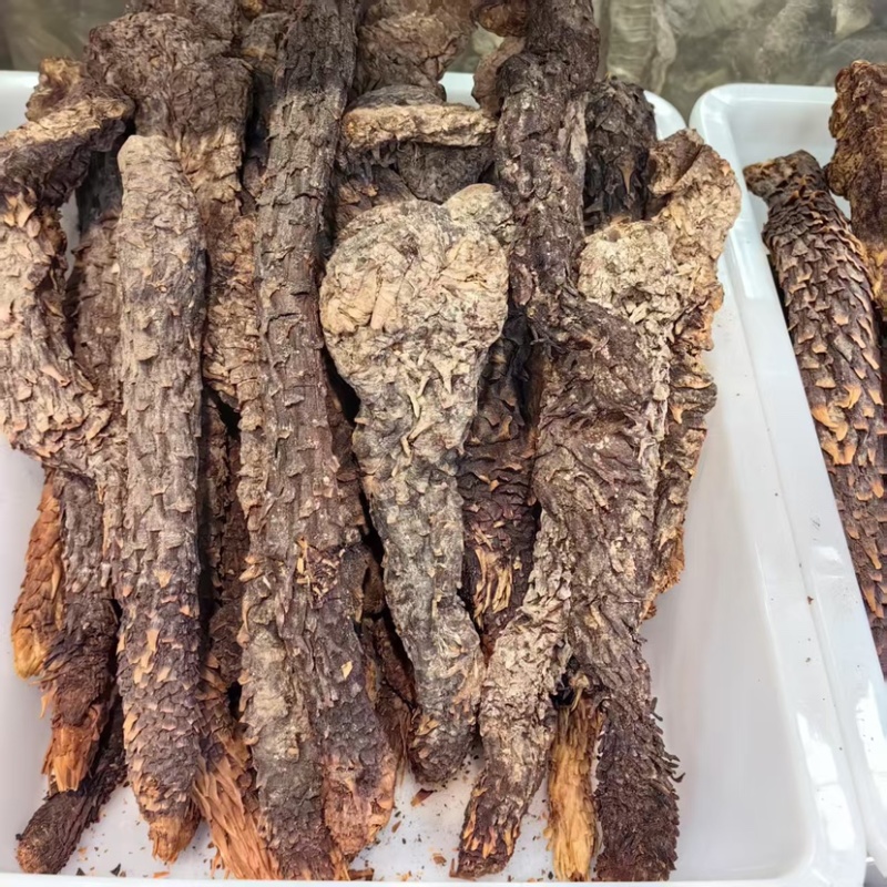 肉苁蓉生个批发肉苁蓉可供大货量大价优可供批发零售