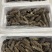 #电商鲜食海参酒店婚宴食材s#好头数8-12头