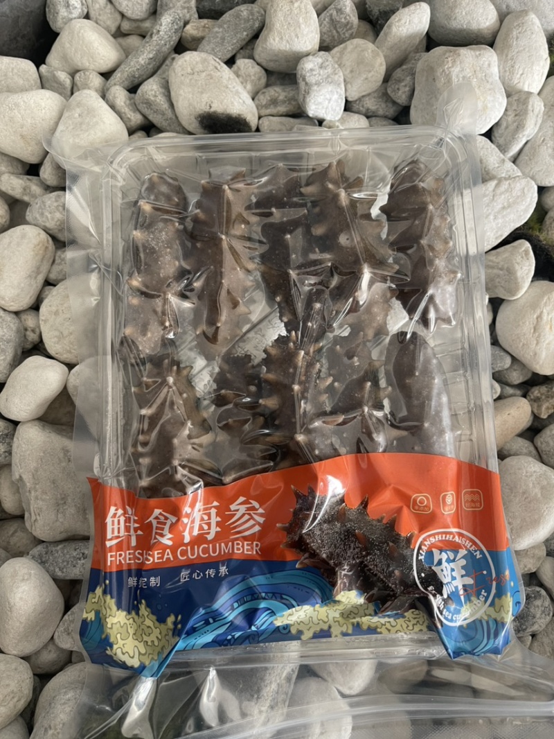 #电商鲜食海参酒店婚宴食材s#好头数8-12头